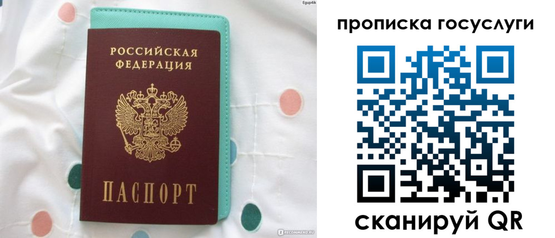 прописка поиск в Кольчугино